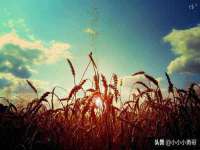 上海哈拿实业发展有限公司