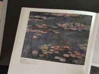 上海哈拿实业发展有限公司