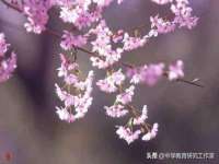 上海哈拿实业发展有限公司