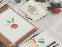 上海哈拿实业发展有限公司