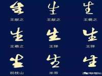 上海哈拿实业发展有限公司