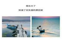 上海哈拿实业发展有限公司