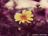 上海哈拿实业发展有限公司