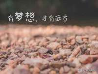 上海哈拿实业发展有限公司