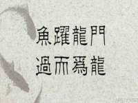 上海哈拿实业发展有限公司