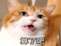 上海哈拿实业发展有限公司