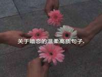 上海哈拿实业发展有限公司