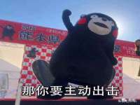 上海哈拿实业发展有限公司