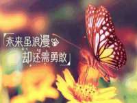 上海哈拿实业发展有限公司