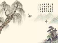 上海哈拿实业发展有限公司