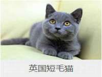 上海哈拿实业发展有限公司