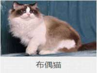 上海哈拿实业发展有限公司