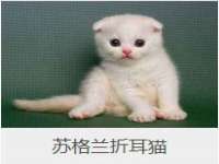 上海哈拿实业发展有限公司