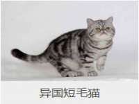 上海哈拿实业发展有限公司