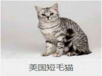上海哈拿实业发展有限公司