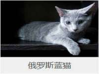 上海哈拿实业发展有限公司