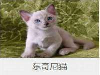 上海哈拿实业发展有限公司