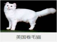 上海哈拿实业发展有限公司