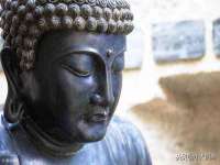上海哈拿实业发展有限公司