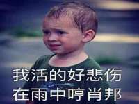 上海哈拿实业发展有限公司