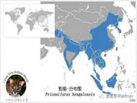 上海哈拿实业发展有限公司