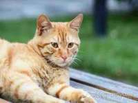 上海哈拿实业发展有限公司