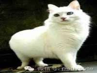 上海哈拿实业发展有限公司