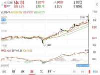 上海哈拿实业发展有限公司