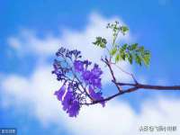 上海哈拿实业发展有限公司