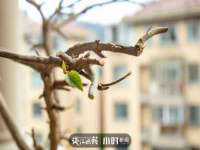 上海哈拿实业发展有限公司