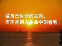 上海哈拿实业发展有限公司