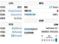 上海哈拿实业发展有限公司
