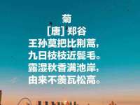 上海哈拿实业发展有限公司