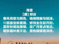 上海哈拿实业发展有限公司