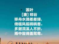 上海哈拿实业发展有限公司