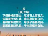上海哈拿实业发展有限公司