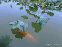 上海哈拿实业发展有限公司