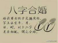 上海哈拿实业发展有限公司