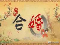 上海哈拿实业发展有限公司