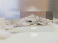 上海哈拿实业发展有限公司