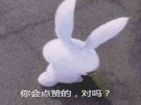 上海哈拿实业发展有限公司