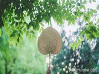 上海哈拿实业发展有限公司