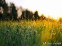 上海哈拿实业发展有限公司