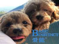 上海哈拿实业发展有限公司