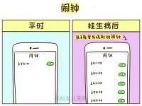 上海哈拿实业发展有限公司