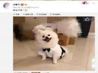 上海哈拿实业发展有限公司