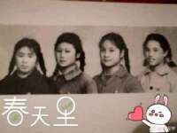 上海哈拿实业发展有限公司