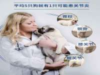 上海哈拿实业发展有限公司