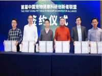 上海哈拿实业发展有限公司