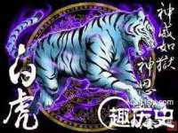 上海哈拿实业发展有限公司
